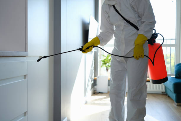Mold Testing and Removal in Blossburg, PA