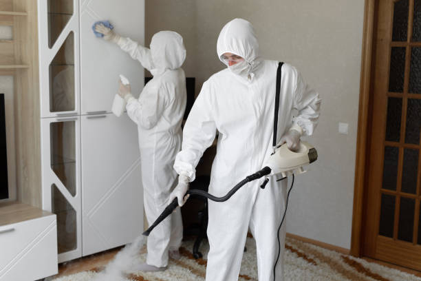 Trusted Blossburg, PA Mold Removal Experts
