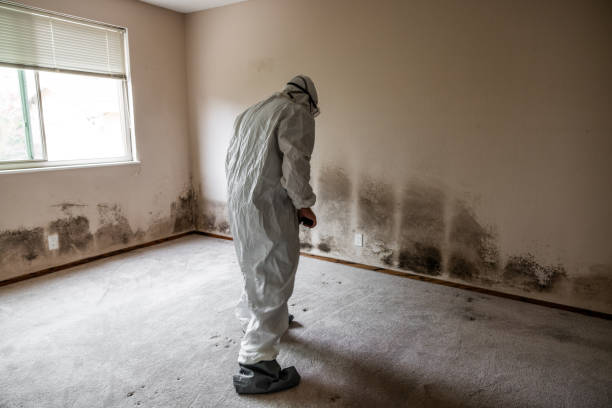Best Crawl Space Mold Removal  in Blossburg, PA